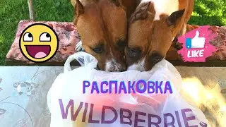 Распаковка посылок с Вайлдберриз