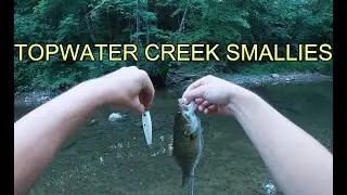Topwater Fishing Ohio Creek