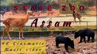 Assam State Zoo | Guwahati | Assam Tourism