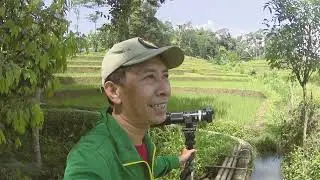 Dusun Penanggungan yg Ramah akan Burung Liar ~ POV Wildlife Photography