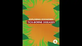 Exploring Zoonoses: Tick-Borne Diseases | Merck Vet Manual