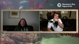 Doug's Monterey Bay Aquarium Interview about Rosa