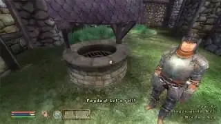 Mages Guild Well