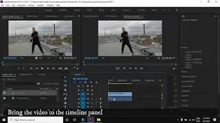 How to mute a video in adobe premiere pro?