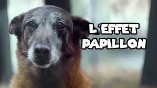 Le jeu le plus triste du monde..