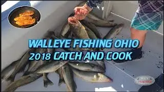 Walleye Fishing Ohio 2018 (CATCH and COOK) Lake Erie