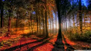 Vangelis 🌈 Pinta Nina... HQ (KV Tune) Pretty "Long Photos" esp. in end