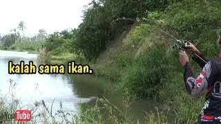 TUMBAL di penghujung tahun 2020. tahun baru GK usah beli ikan