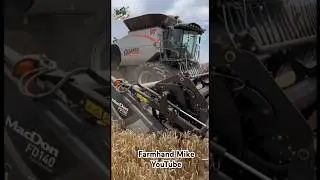 Wheat Harvest 2024 near Cherokee Oklahoma | Gleaner Combines