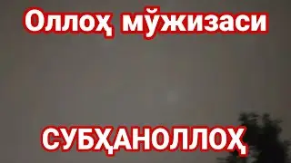 Тошкент осмонида фаришталар