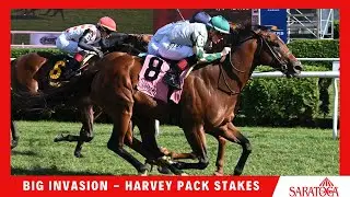 Big Invasion - 2024 - Harvey Pack
