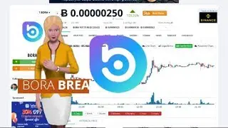 BORA $BORA Surged 103% In the Past Day