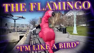 The Flamingo (Kate Rockwell): 