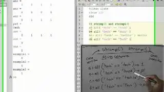 Strings: strcmp() and strcmpi()