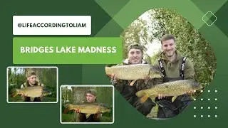 2024 Social Spring Carp Fishing - 1 Week at Monk Lakes
