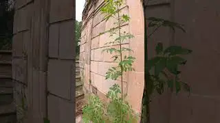 Mausoleo de Santos Soto una Obra de la Arquitectura Funebre