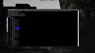Using Command Linux Create File & Folder