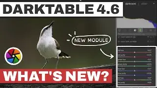 What's NEW in Darktable 4.6? A new COLOR module in town...
