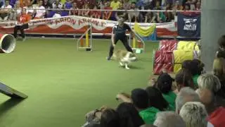 Crak 2017 05 28 Cpto España Agility