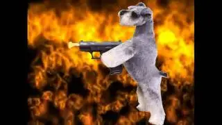 Cats, Dogs, Werewolves and Dynamite