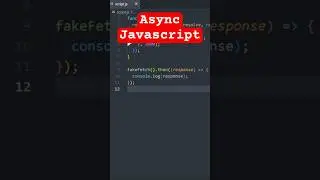 ✨Async Javascript 