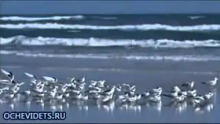 Омар Хайям. Мудрости жизни.