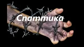 что такое спастика?