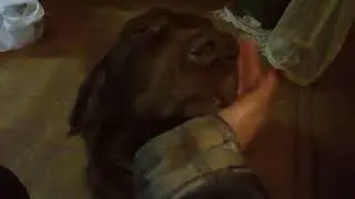 Опять Жека подъедаться пришел )))