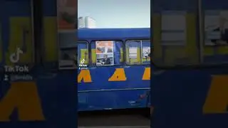Агитация которую мы заслужили)) Фирменный автобус Либеральной Демократической Партии России ЛДПР