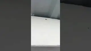 Течет крыша
