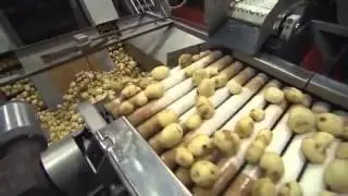كيف يصنع شيبسي ليز