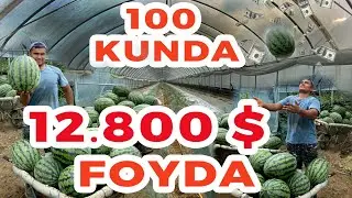 MASTERCLAS TARVUZ BIZNESI OSON VA KUCHLI DAROMAD 100 KUNDA 