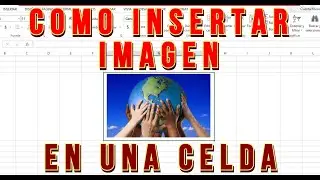 Como insertar una IMAGEN dentro de una CELDA de EXCEL
