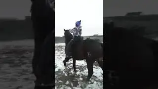 Жылкыны баптау керек