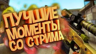 Типичная катка в CS GO на стриме...