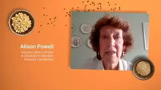 ISTA at 100: Seeds of Celebration – A Joyful Birthday Tribute