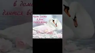 Лейла и Рустам Галиевы
