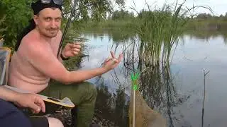 Рыбалка и отдых на пруду!#рыбалка # пруд