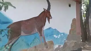 Ясеневая, реликтовая роща на Чарыне!!!! Стоит ли приезжать!! конечно ДА!!!
