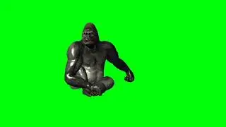 Gorilla // gorilla seated // Gorilla seated green screen //