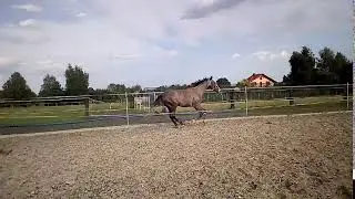 VID 20190809 172752