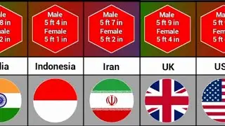 Average Height Of Male And Female From Different Countries