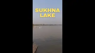Sukhna Lake Chandigarh | #shorts