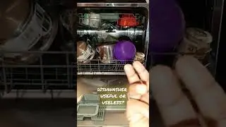 Dishwasher really required???