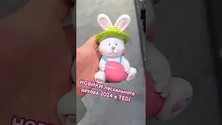 НОВИНКИ 2024 в TEDI пасхального декора. Пасхальные зайки и их обзор #шортс #пасха #зайчик # shorts