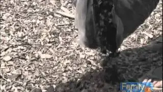 Play Equipment Safety