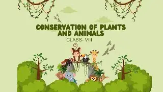 Quick Revision: Conservation of Plants and Animals