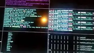 Programming Expectations vs Reality !! #Shorts