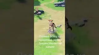 Баги приватного сервера Genshin Impact 