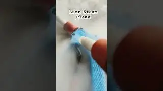 Steam Clean